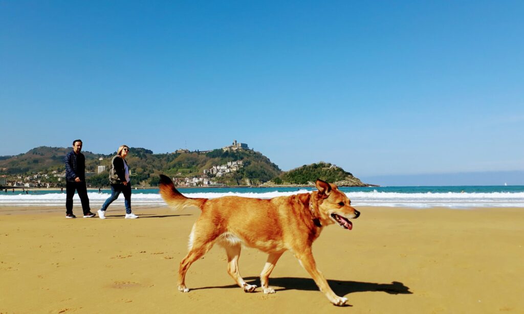 San Sebastián: Sehenswürdigkeiten und Hundestrand