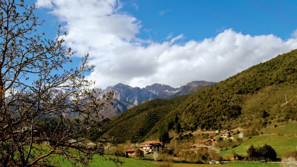 Picos de Europa