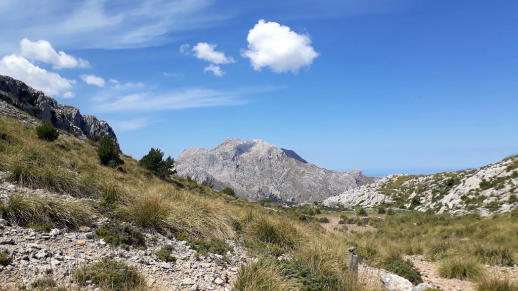 Berge auf Mallorca: Wanderung zum Puig de Massanella, dem höchsten begehbaren Gipfel Mallorcas