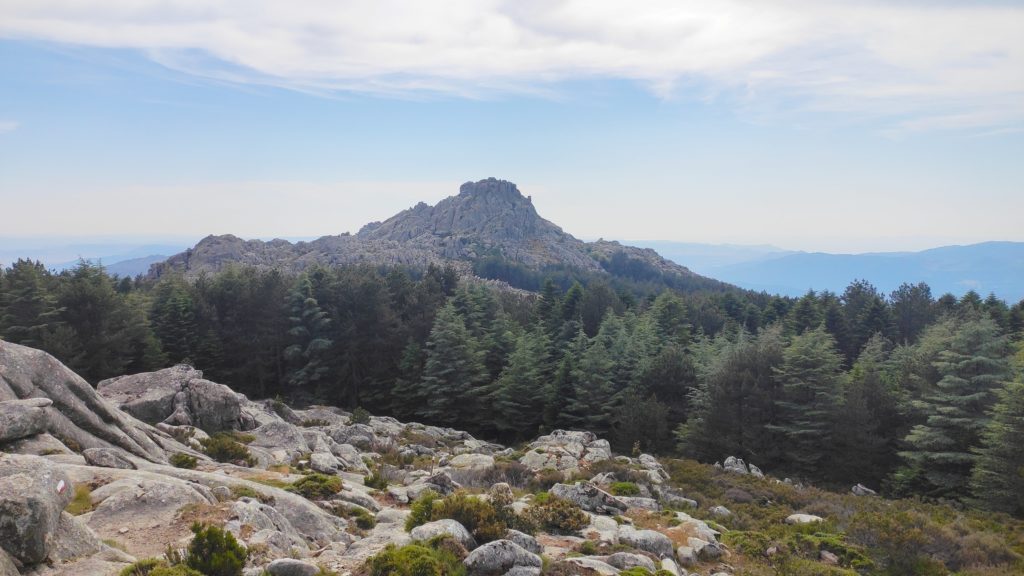 Blick über das wunderschöne, grüne Bergmassiv Monte Limbara im Norden Sardiniens 
