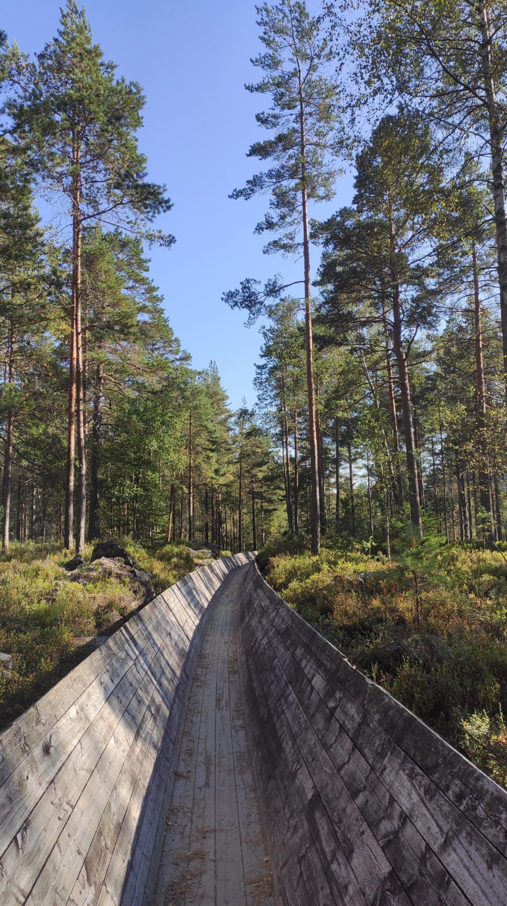 In der Flößerrinne Tømmerrenna bei Kristiansand in Norwegen wurde früher Holz aus dem Wald zum Fluss gebracht