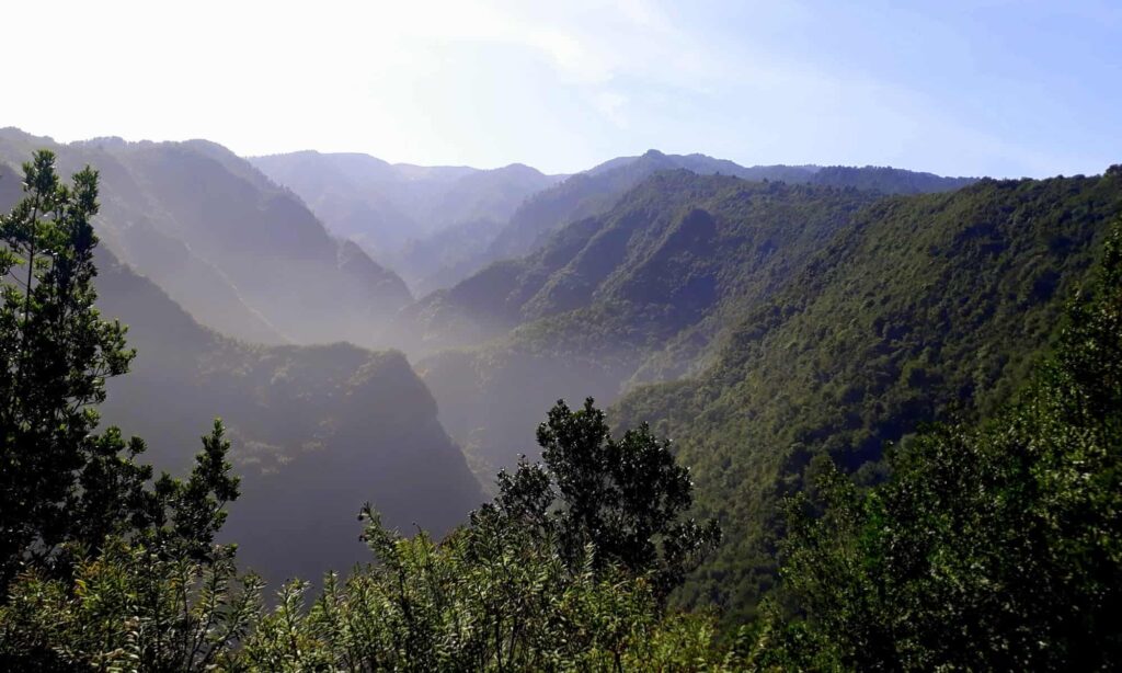 Vegan auf La Palma: Restaurants und Sehenswürdigkeiten