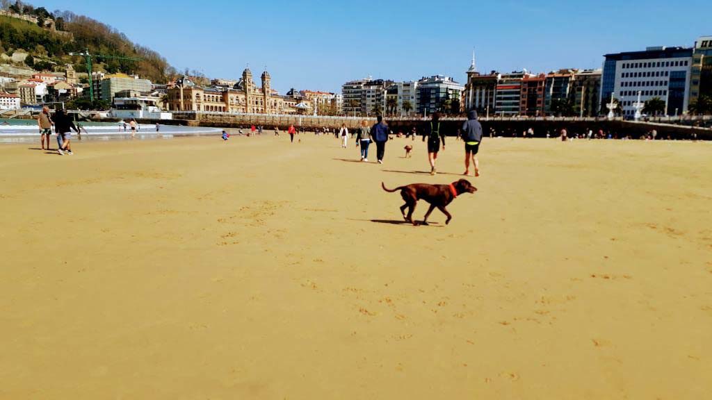 Playa de La Concha